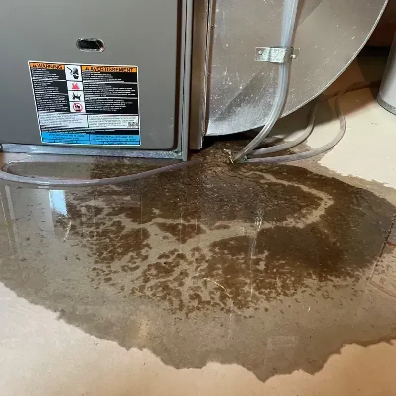 Appliance Leak Cleanup in Saint Clair County, IL